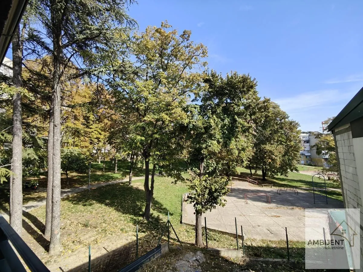 View from the terrace overlooking the park and trees.