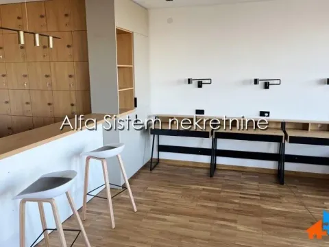 Rent, office space, 250m², Bogoslovija, Palilula Sve Podlokacije - image 19