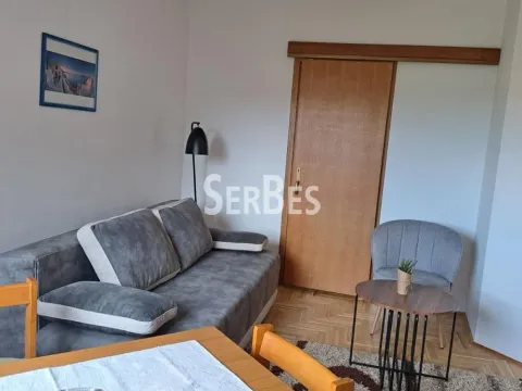 Rent, one bedroom apartment, 41m², Banatić, Novi Sad Sve Podlokacije - image 7