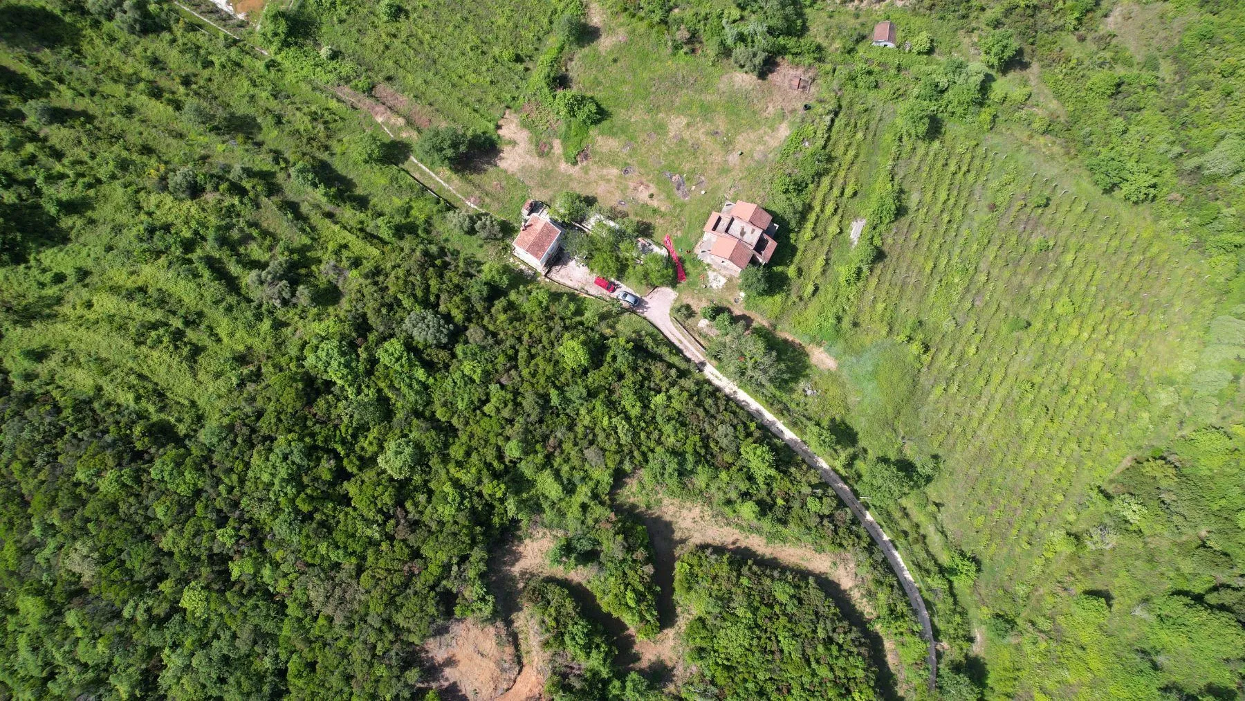Prodaja, plac, 83000m², Radanovići, Kotor