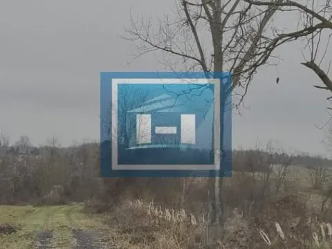 Sale, land lot, 132m², Dobrovodica, Batočina - image 4