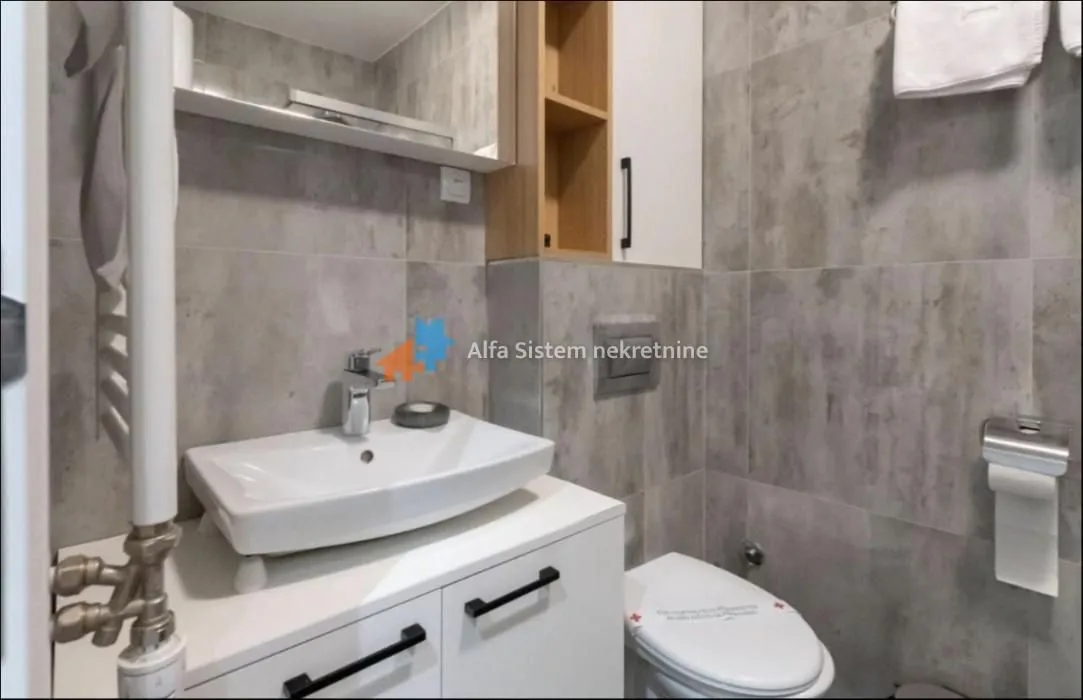 Rent, two bedroom apartment, 43m², Južni Bulevar, Vračar Sve Podlokacije
