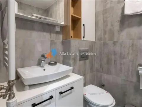 Rent, two bedroom apartment, 43m², Južni Bulevar, Vračar Sve Podlokacije - image 20