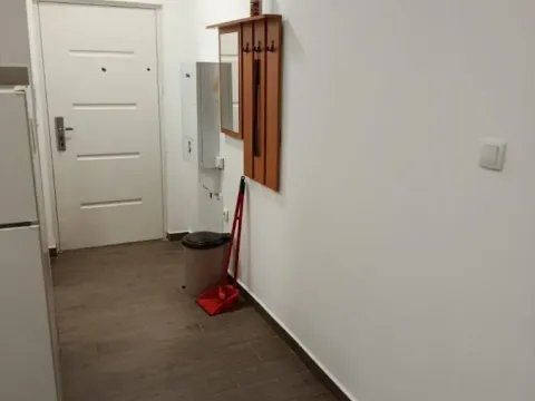 Izdavanje, garsonjera, 25m², Novi Sad, Srbija - image 5