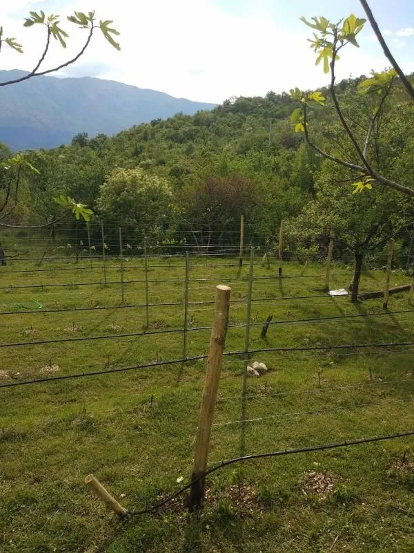 Prodaja, kuća, 180m², Danilovgrad, Crna Gora
