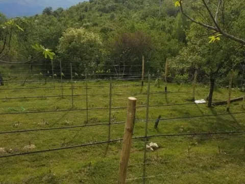 Sale, house, 180m², Danilovgrad, Crna Gora - image 3