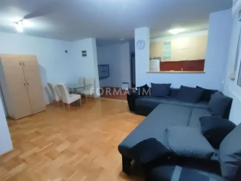 Izdavanje, dvosoban stan, 50m², Krnjaca, Palilula Sve Podlokacije - image 12