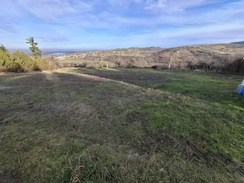 Prodaja, plac, 2400m², Ledinci, Petrovaradin - image 2