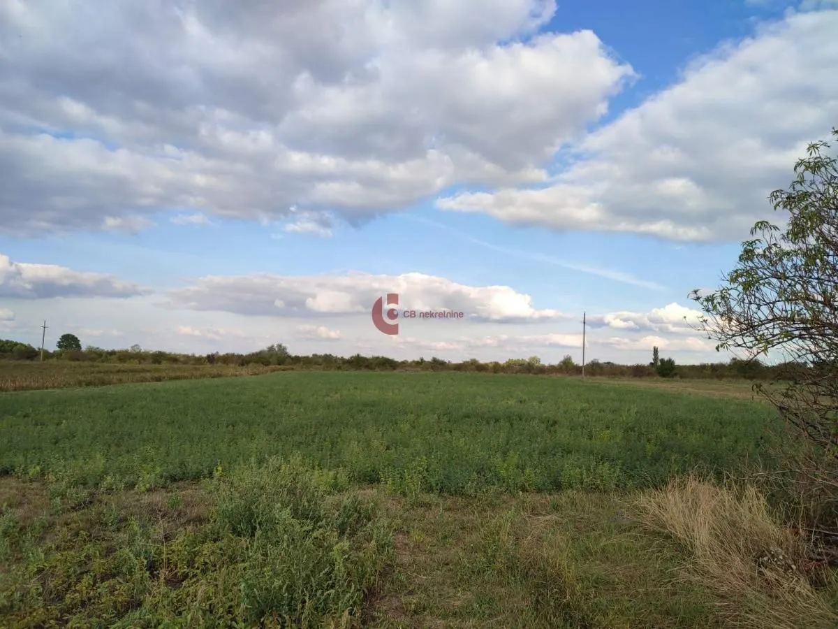 Prodaja, plac, 5700m², Mali Radanovac, Subotica