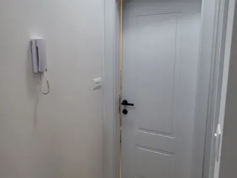 Izdavanje, jednosoban stan, 47m², Stari Aerodrom, Podgorica - image 6