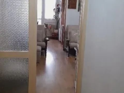 Prodaja, dvosoban stan, 62m², Zemun Sve Podlokacije, Beograd - image 10