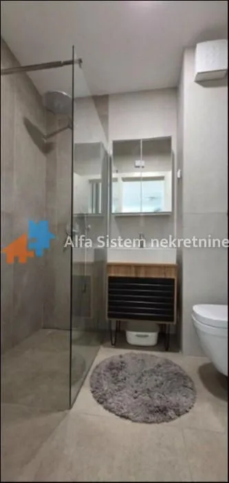 Izdavanje, dvosoban stan, 55m², Novi Beograd Blok 65, Novi Beograd Sve Podlokacije