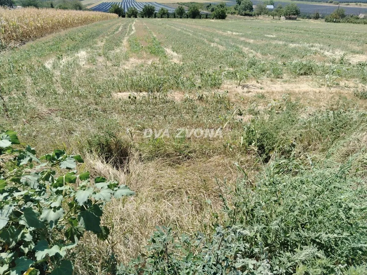 Sale, land lot, 123m², Novi Slankamen, Inđija