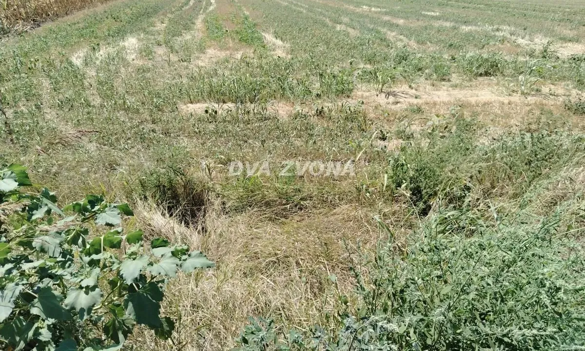 Prodaja, plac, 123m², Novi Slankamen, Inđija