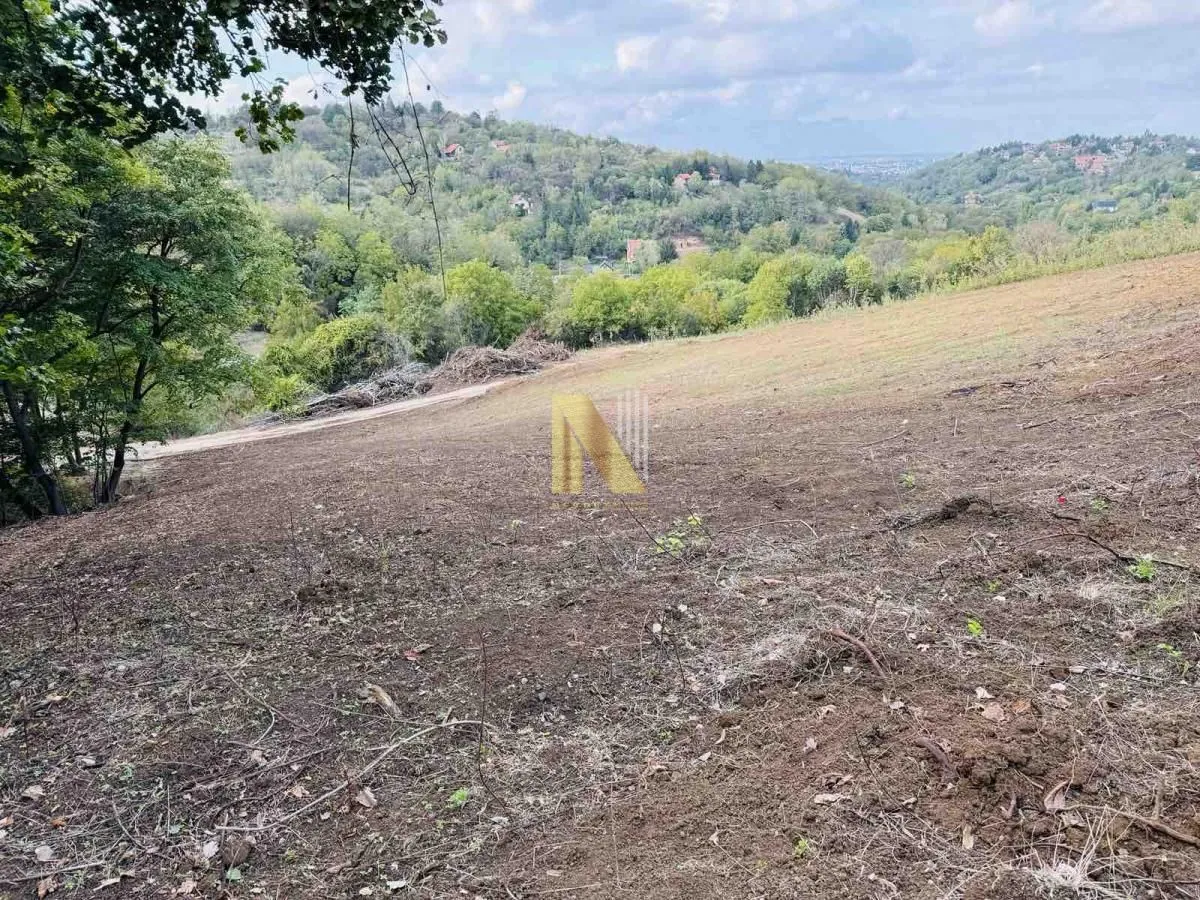 Prodaja, plac, 2966m², Sremska Kamenica, Petrovaradin
