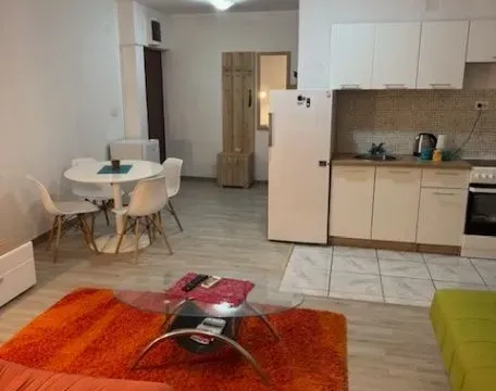 Rent, one bedroom apartment, 45m², Golubovina, Budva - image 3