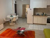 Rent, one bedroom apartment, 45m², Golubovina, Budva - image 3