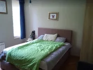 Izdavanje, kuća, 390m², Savski Venac, Beograd - image 13