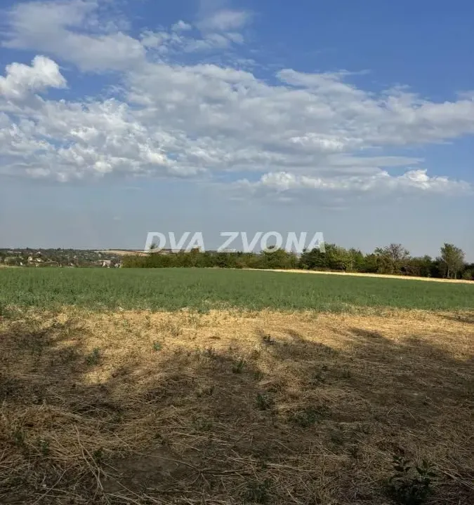 Sale, land lot, 1100m², Čortanovci, Inđija