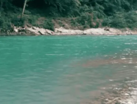 Prodaja, plac, 30000m², Budva, Crna Gora - image 2