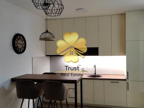 Izdavanje, jednosoban stan, 40m², Zabjelo, Podgorica - image 3