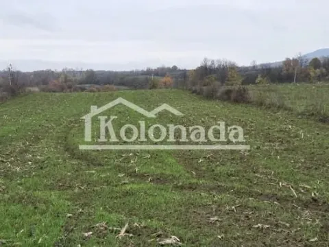 Sale, land lot, 6000m², Sopot, Beograd - image 6