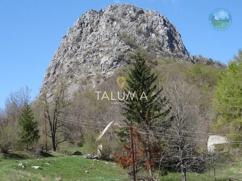 Prodaja, plac, 75000m², Crkvine, Kolašin