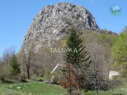 Prodaja, plac, 75000m², Crkvine, Kolašin - image 2