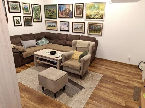 Dnevna soba sa ugaonom garniturom, foteljom i umjetničkim slikama na zidu. - image 11