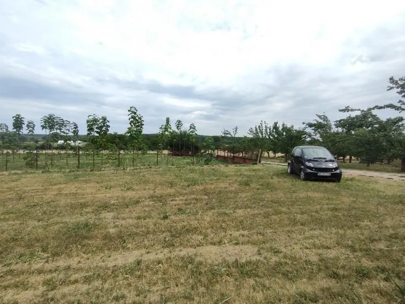 Prodaja, plac, 2300m², Beočin, Srbija