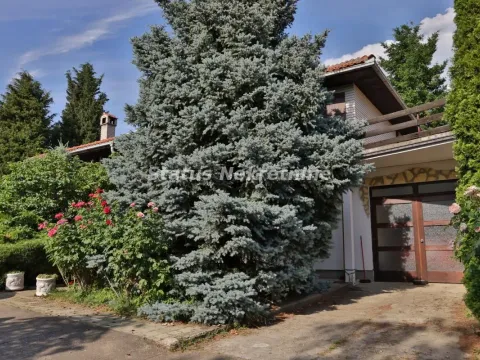 Prodaja, kuća, 322m², Ledinci, Petrovaradin - image 26