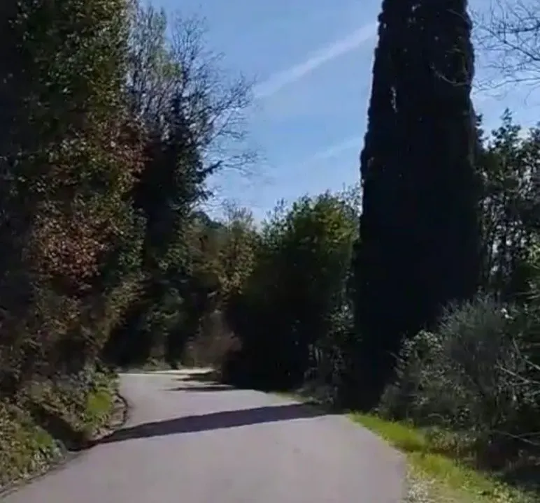 Sale, land lot, 11520m², Mojdež, Herceg Novi