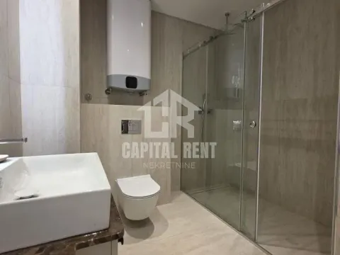 Izdavanje, dvosoban stan, 58m², Vračar Centar, Vračar Sve Podlokacije - image 16