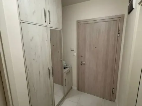 Izdavanje, jednosoban stan, 52m², Central Point, Podgorica - image 12