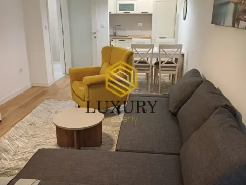 Izdavanje, jednosoban stan, 50m², Central Point, Podgorica - image 2