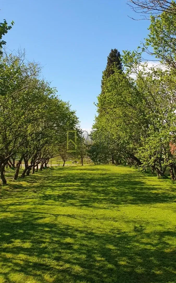 Prodaja, kuća, 132m², Ćurilac, Danilovgrad