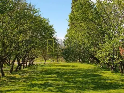 Sale, house, 132m², Ćurilac, Danilovgrad - image 11