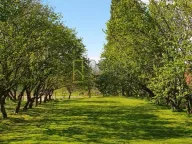 Sale, house, 132m², Ćurilac, Danilovgrad - image 11