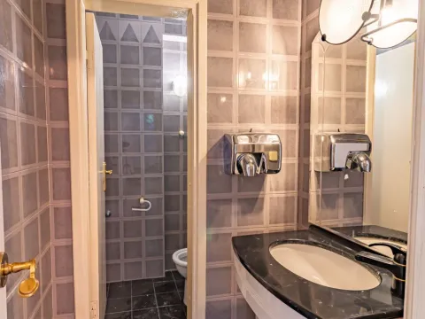 Rent, house, 375m², Senjak, Beograd - image 6