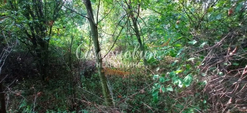 Prodaja, plac, 850m², Surčin, Beograd