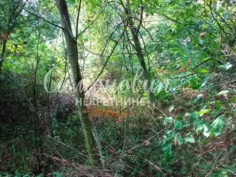 Prodaja, plac, 850m², Surčin, Beograd - image 2