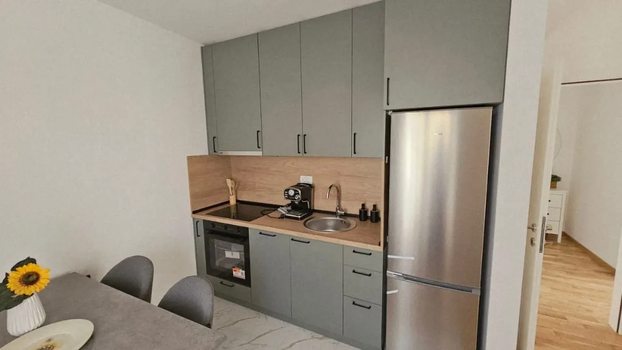 Rent, one bedroom apartment, 47m², Zagorič, Podgorica