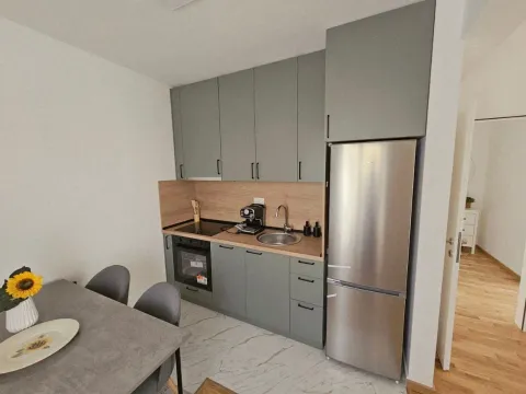 Rent, one bedroom apartment, 47m², Zagorič, Podgorica - image 1