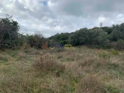 Prodaja, plac, 3900m², Bar, Crna Gora - image 3