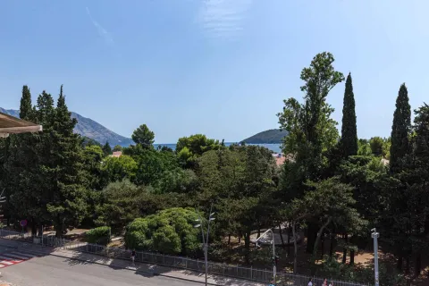 Pogled na zelenilo i more sa terase nekretnine. - image 16