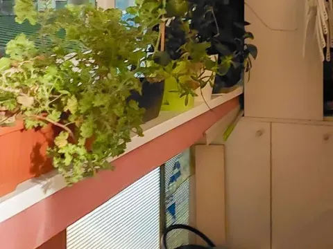 Prodaja, trosoban stan, 85m², Aleksinac, Niš - image 3