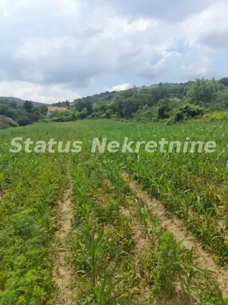 Prodaja, plac, 900m², Beočin, Srbija