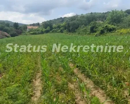Sale, land lot, 900m², Beočin, Srbija - image 10