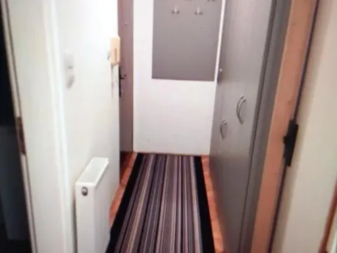 Izdavanje, jednosoban stan, 38m², Erdoglija, Kragujevac - image 8