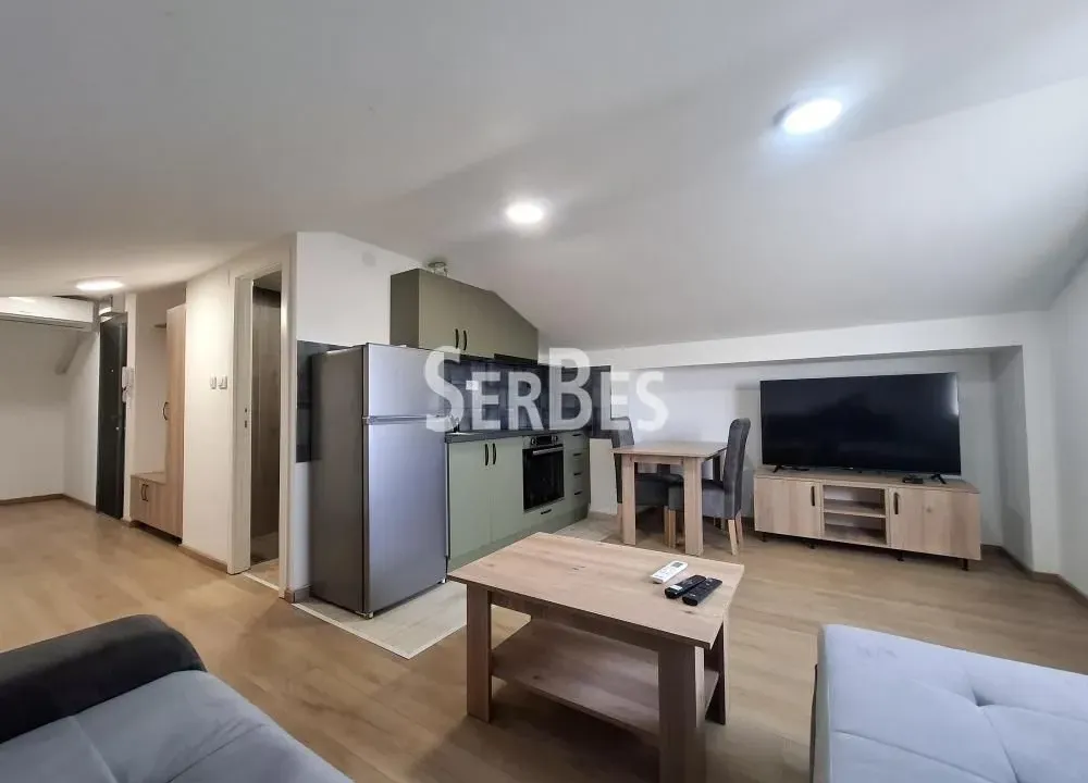 Izdavanje, jednosoban stan, 40m², Adice, Novi Sad Sve Podlokacije